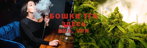 молекула духа Алексеевка
