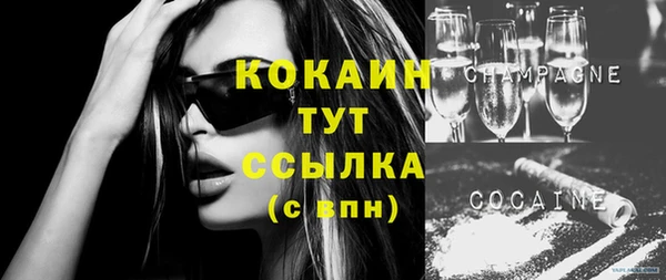 спайс Алексин