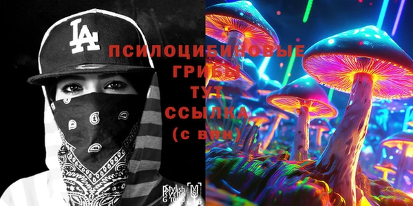 молекула духа Алексеевка