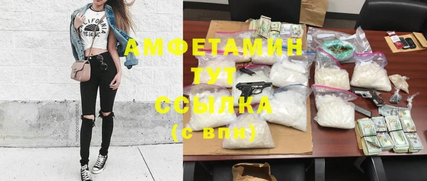 молекула духа Алексеевка