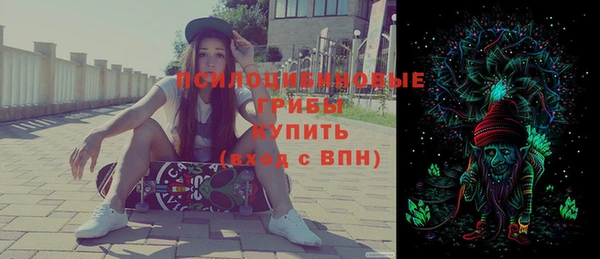 спайс Алексин