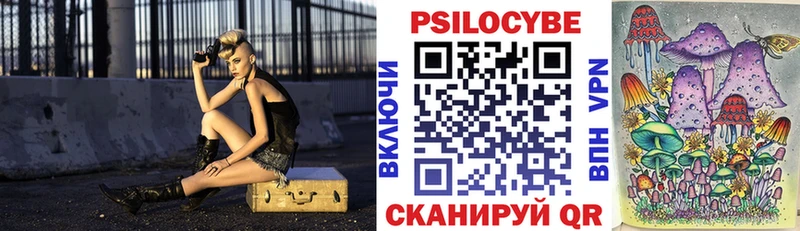 где найти наркотики  Новошахтинск  Псилоцибиновые грибы мицелий 